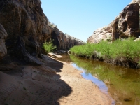 Chevelon Canyon